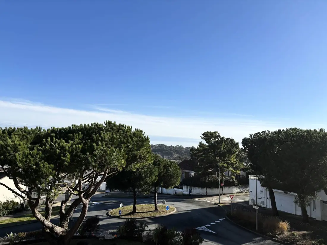 Location de Vacances Saint-Palais-sur-Mer 343