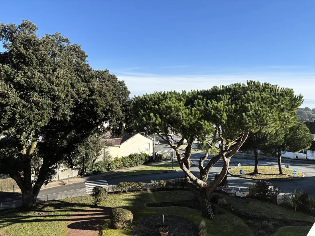 Location de Vacances Saint-Palais-sur-Mer 343