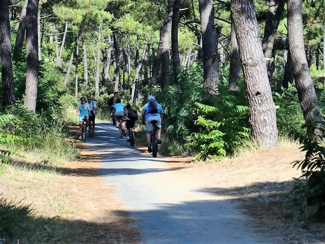 Résidence Le Domaine Du Lac