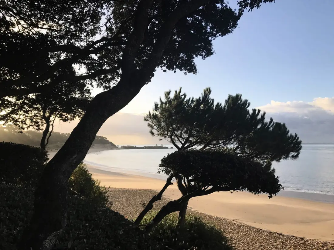 Résidence Mais Sp06544-st Palais Sur Mer