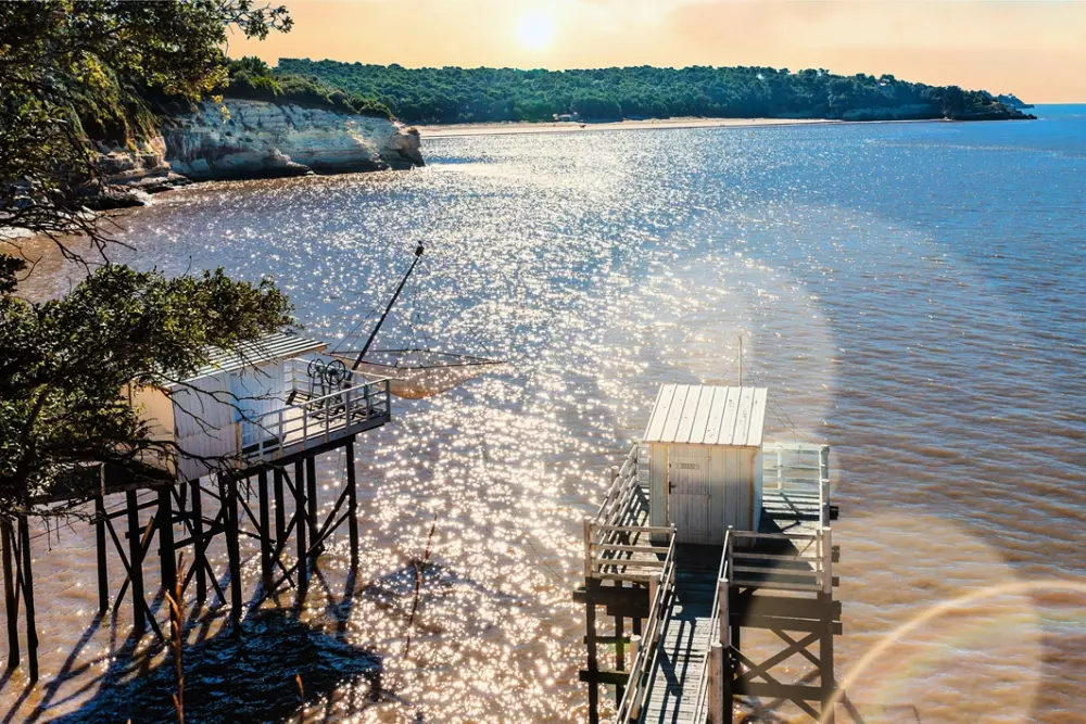 Camping Royal Océan 41 étoiles★