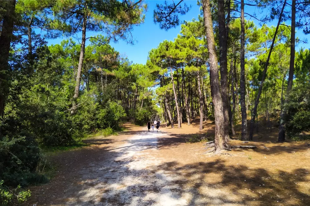 Camping Royal Océan 41 étoiles★