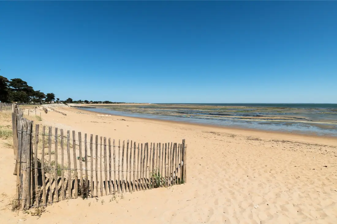 Camping Royal Océan 41 étoiles★