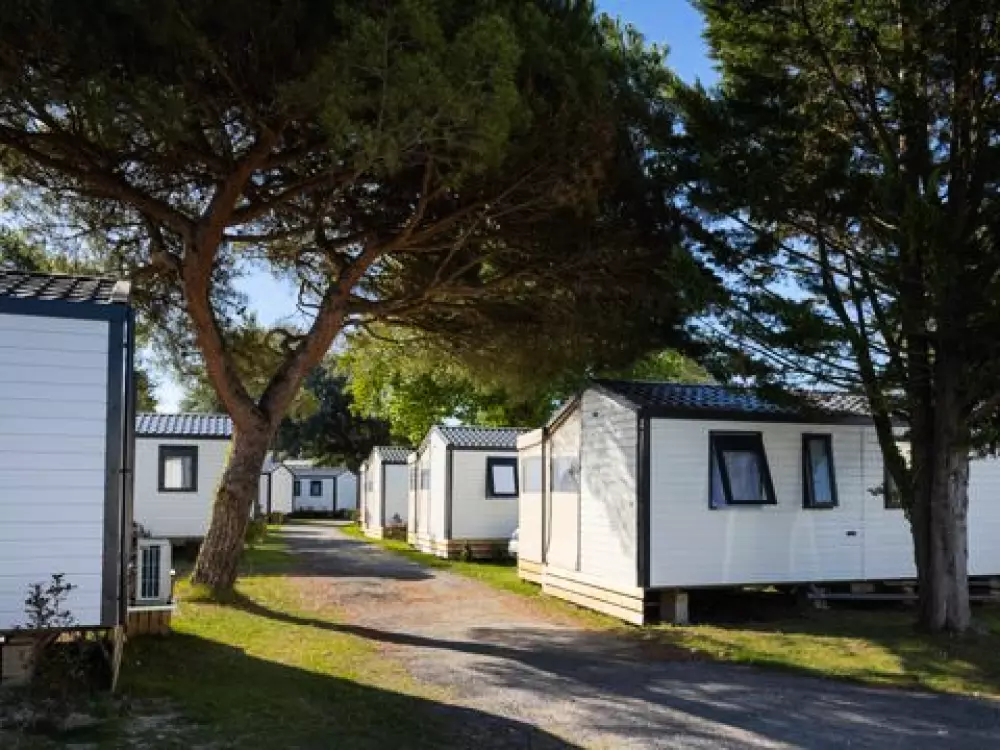 Camping Club Pontaillac Plage 45 étoiles★★★★★ - MS VACANCES 5 étoiles★★★★★