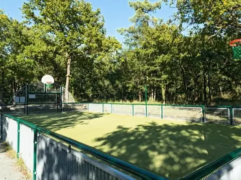 Camping Les Chèvrefeuilles  4 étoiles★★★★