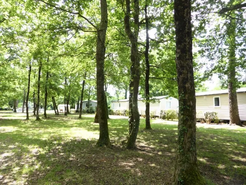 Camping Les Chèvrefeuilles 4 étoiles★★★★