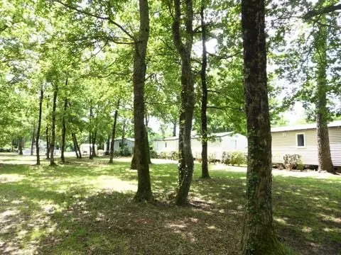 Camping Les Chèvrefeuilles  4 étoiles★★★★