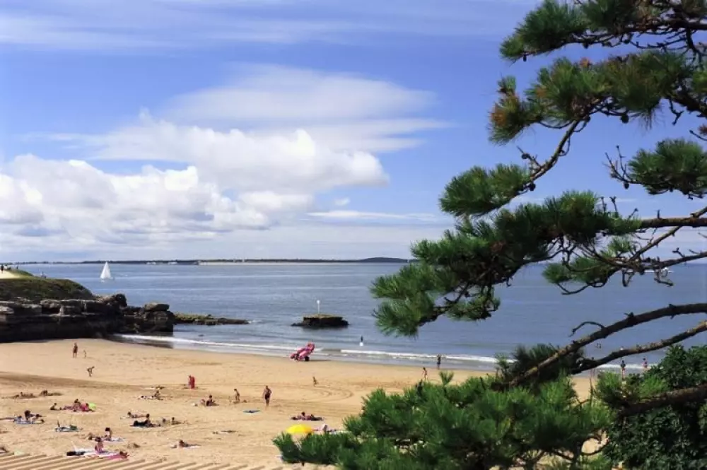 Camping Les Chèvrefeuilles 4 étoiles★★★★