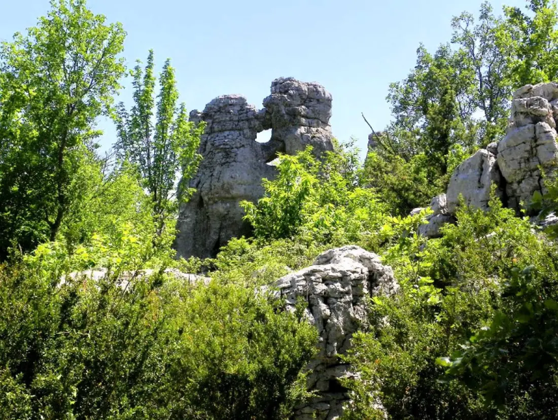 Camping Les Paillotes en Ardèche 4 étoiles★★★★