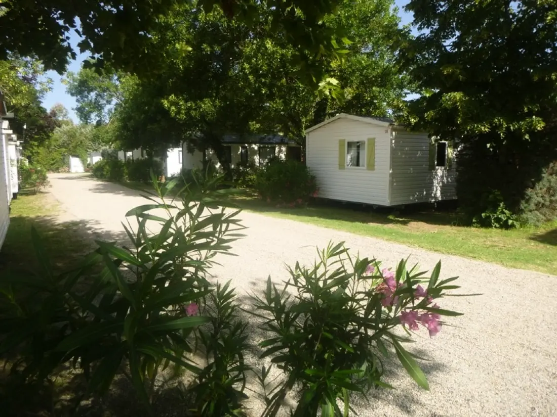 Camping Les Paillotes en Ardèche 4 étoiles★★★★
