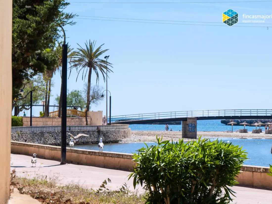 Location de Vacances S'illot 3