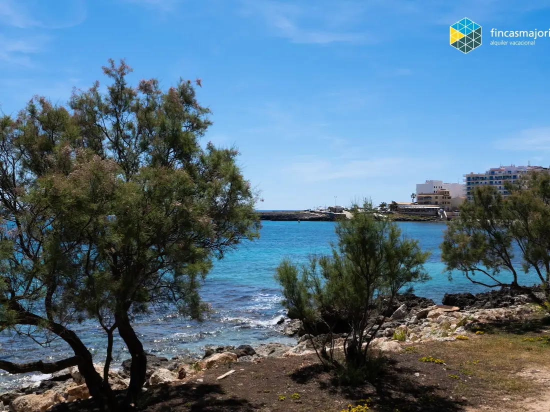 Location de Vacances S'illot 4