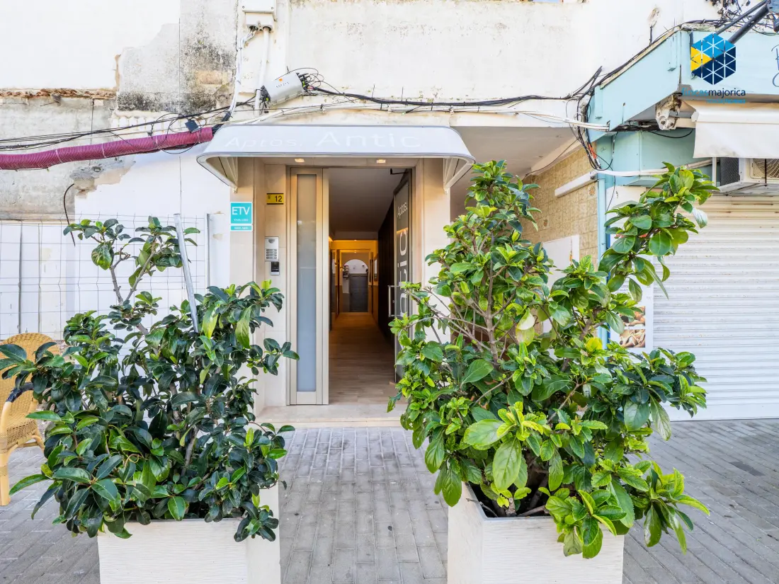 Location de Vacances S'illot 5