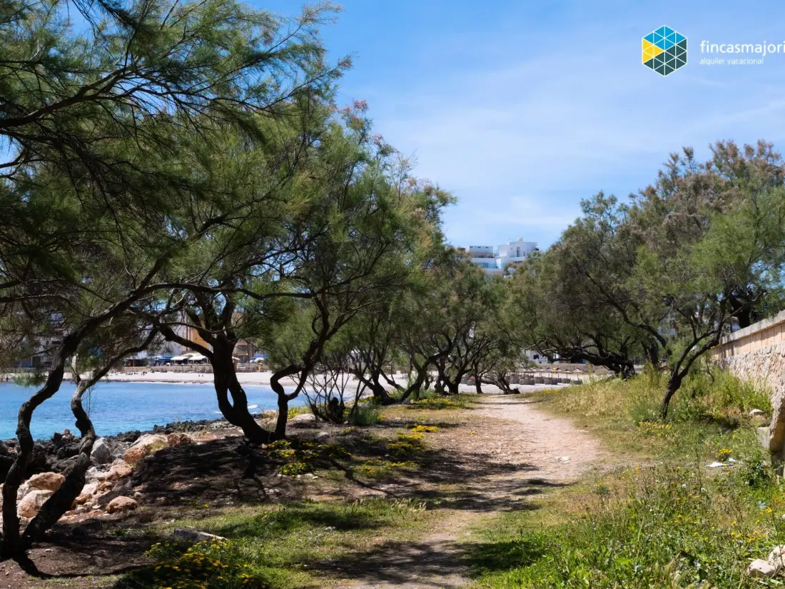 Location de Vacances S'illot 7