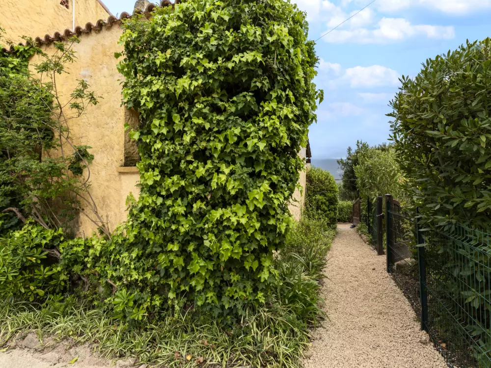 Résidence La Baraka