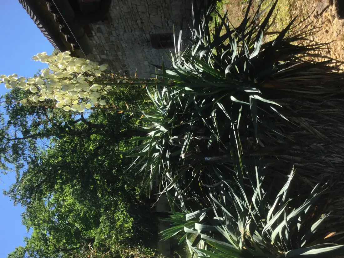 Gîte de France à Saillac 2 épis
