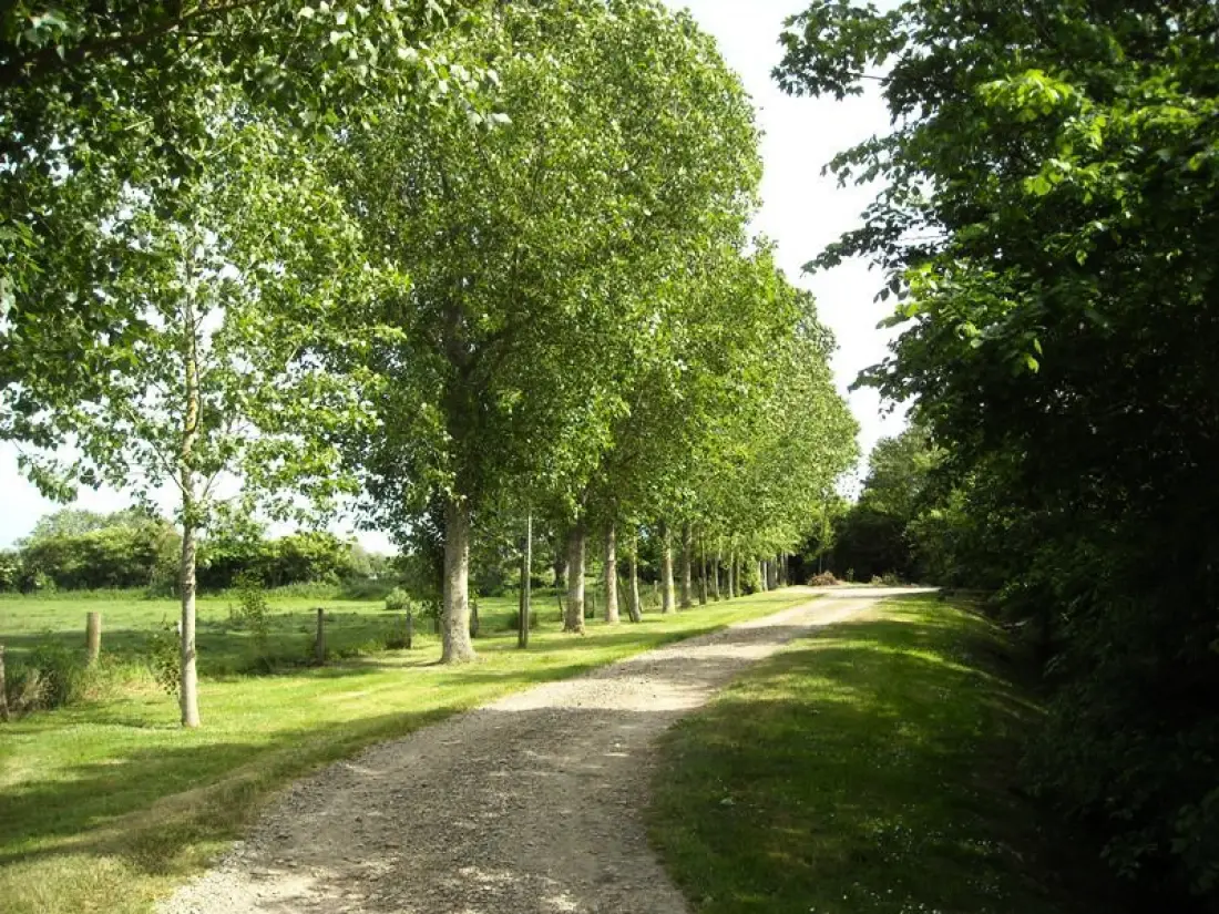 Gîte de France à St Marcouf De L'isle  2