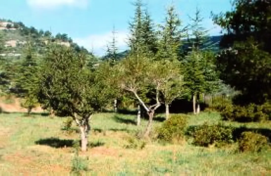 Gîte de France à Saint Martin Des Puits  2