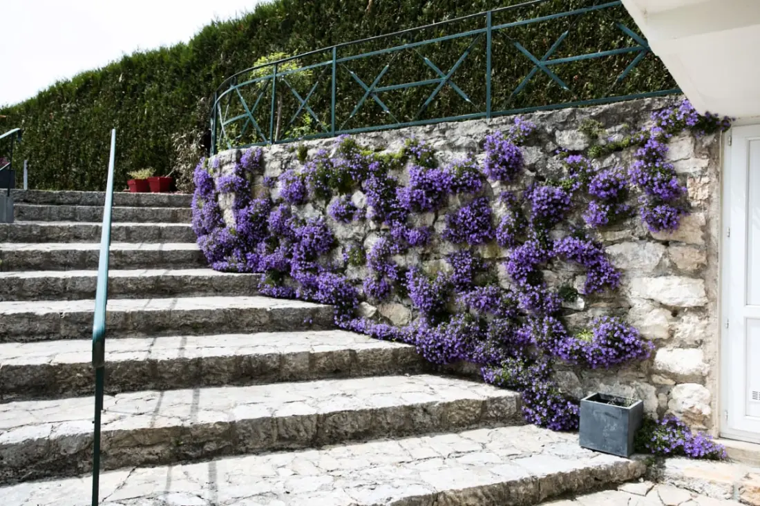 Les Nénuphars, Magnifique Villa Au Bord Du Canal !