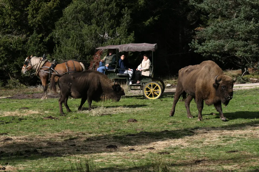 Gîte de France Gîte le marlet 2 épis