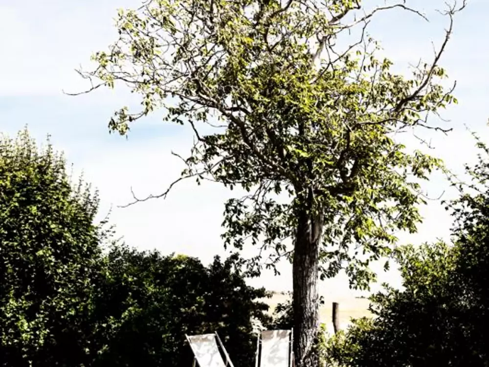 Maison de Vacances SAINT-ANDRE-D'APCHON 3