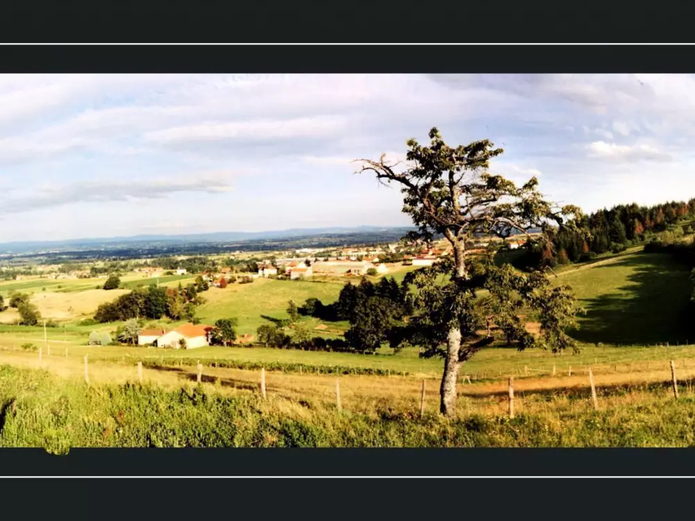 Maison de Vacances SAINT-ANDRE-D'APCHON
