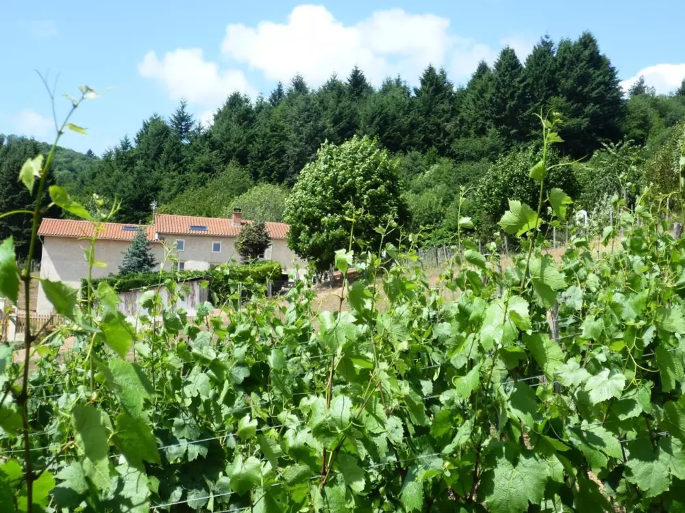 Maison de Vacances SAINT-ANDRE-D'APCHON