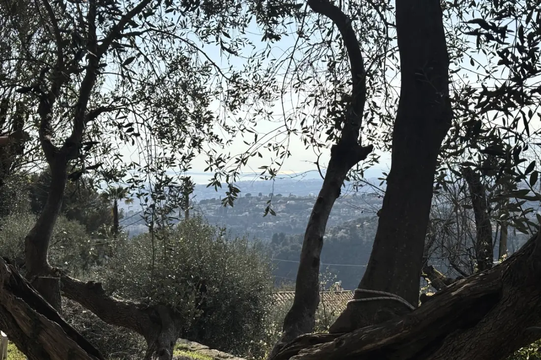 La Bergerie Des Oliviers - Calme Et Vue Mer
