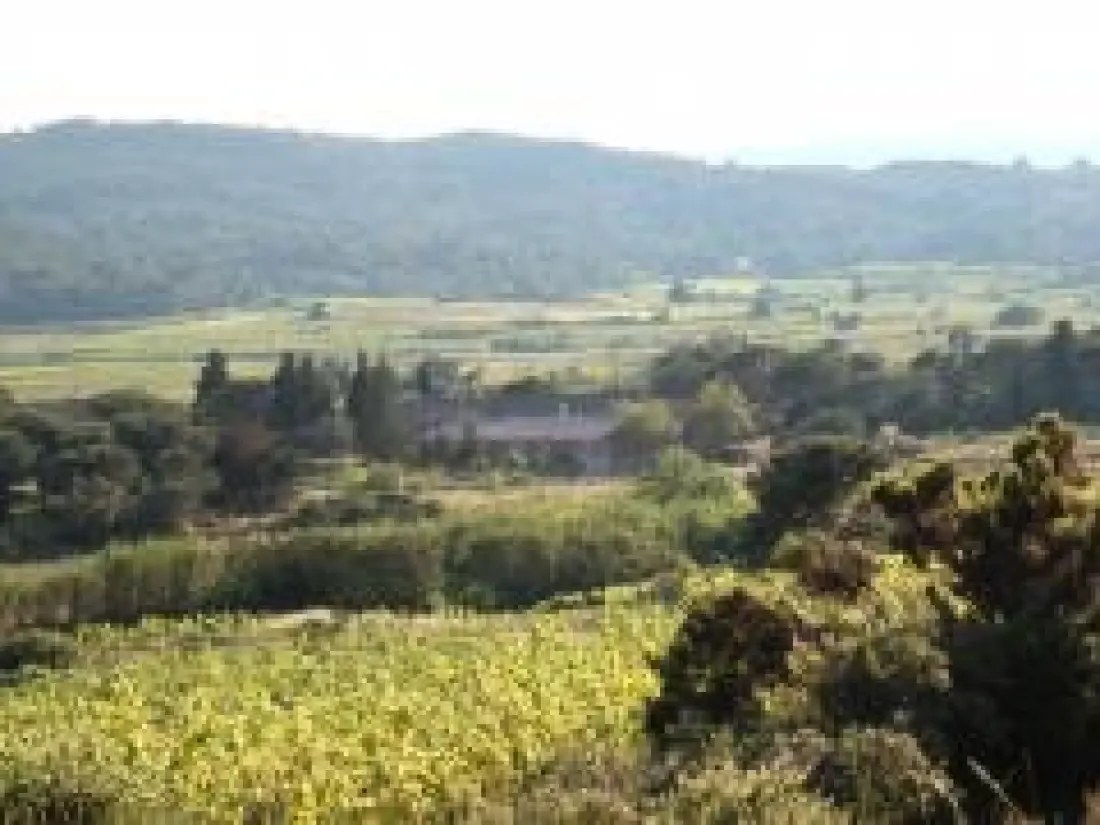 Gîte de France à Saint Andre De Roquelongue  3