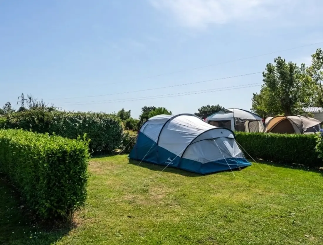 Flower Camping Vitamin 4 étoiles★★★★