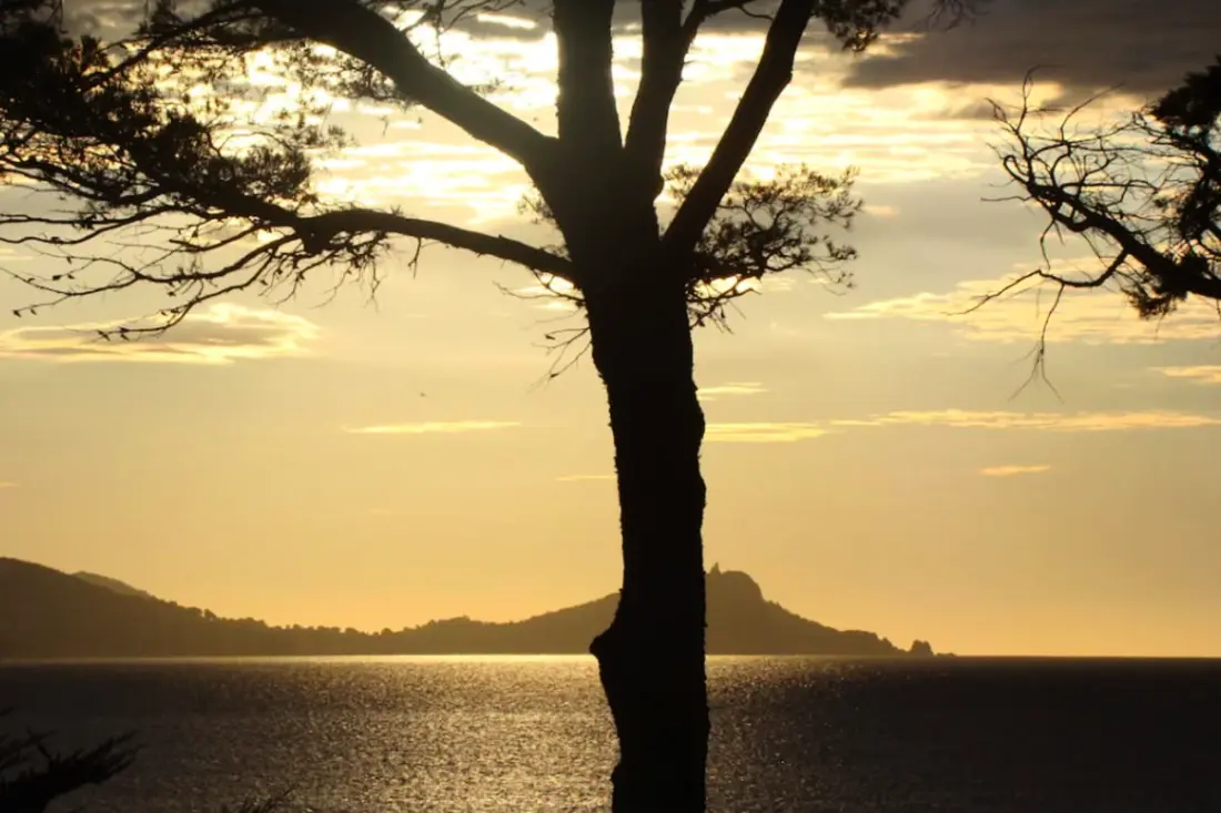 Belle Villa Avec Jardin Et Vue Sur Mer