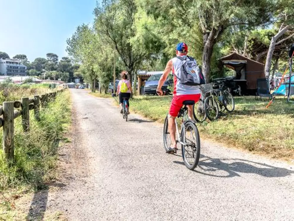 Camping De Saint Aygulf Plage 4 étoiles★★★★