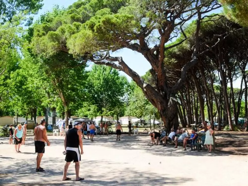 Camping De Saint Aygulf Plage 4 étoiles★★★★