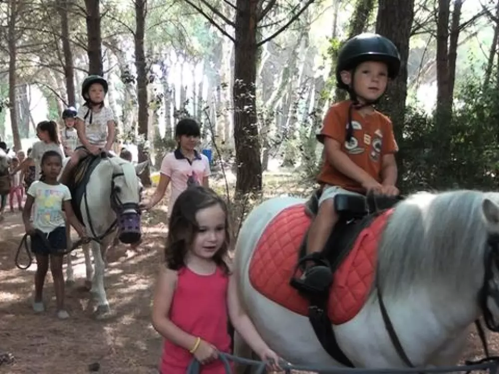 Camping De Saint Aygulf Plage 4 étoiles★★★★