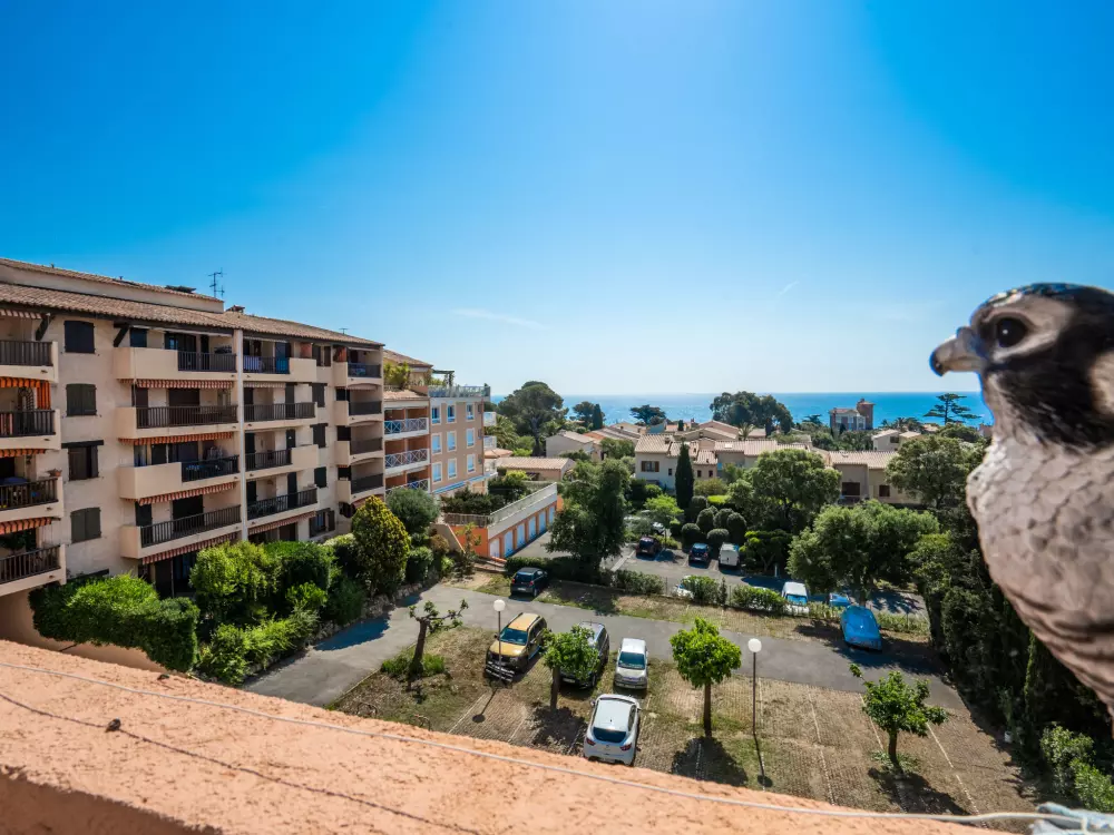 Résidence Le Victoria