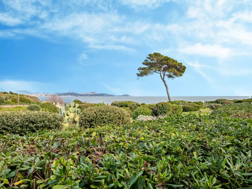 Résidence Les Louvans