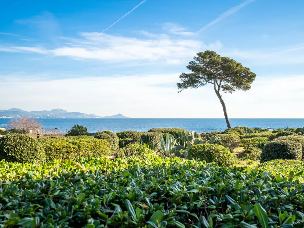 Résidence Les Louvans