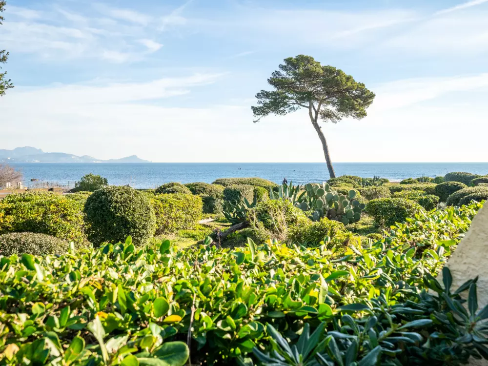 Résidence Les Louvans