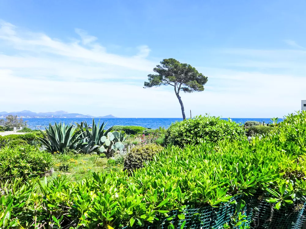 Résidence Les Louvans