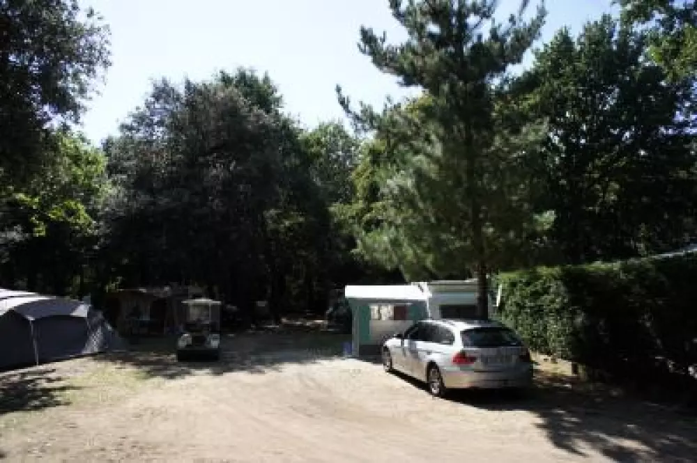 Camping Paradis Les Rochelets 41 étoiles★