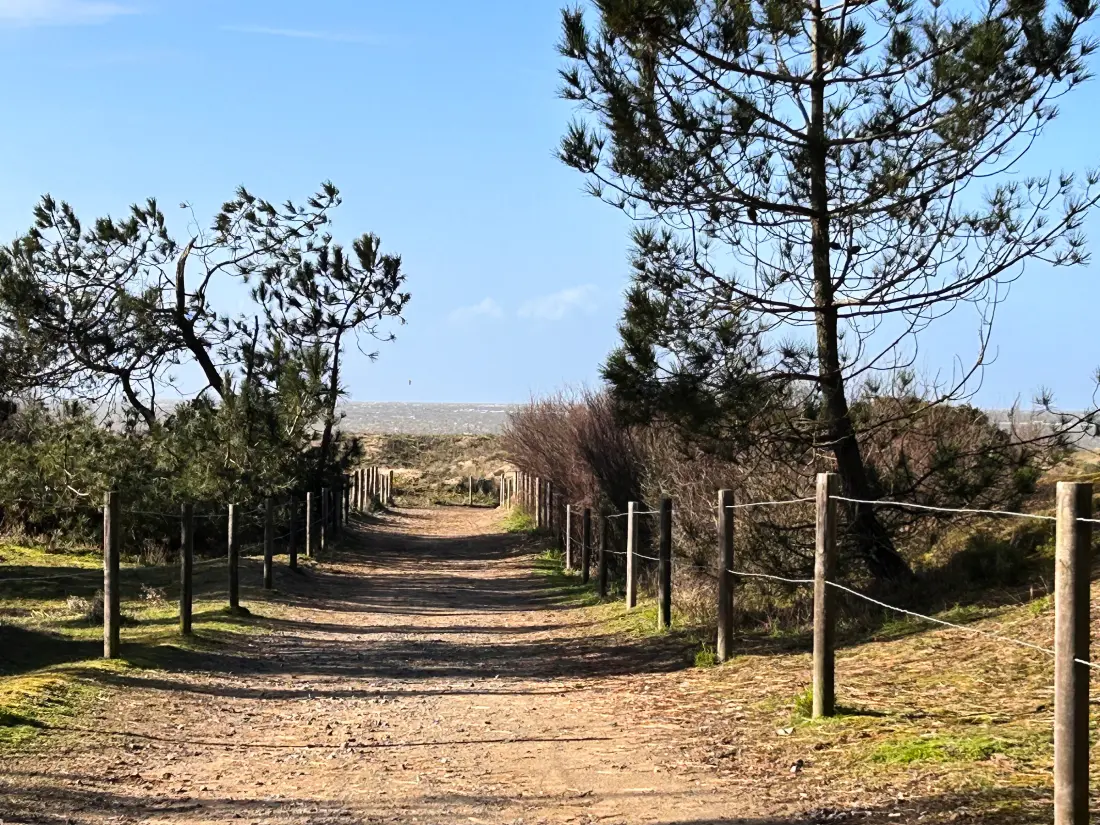 Location de Vacances Saint-Brevin-les-Pins 50