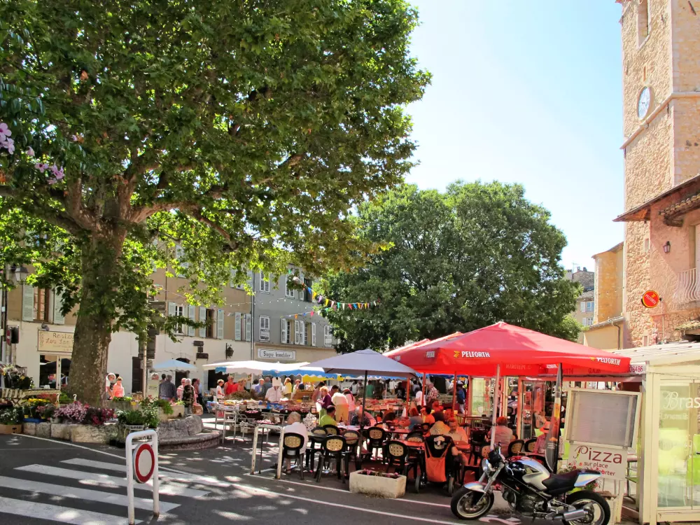 Maison de Vacances Saint Cézaire sur Siagne