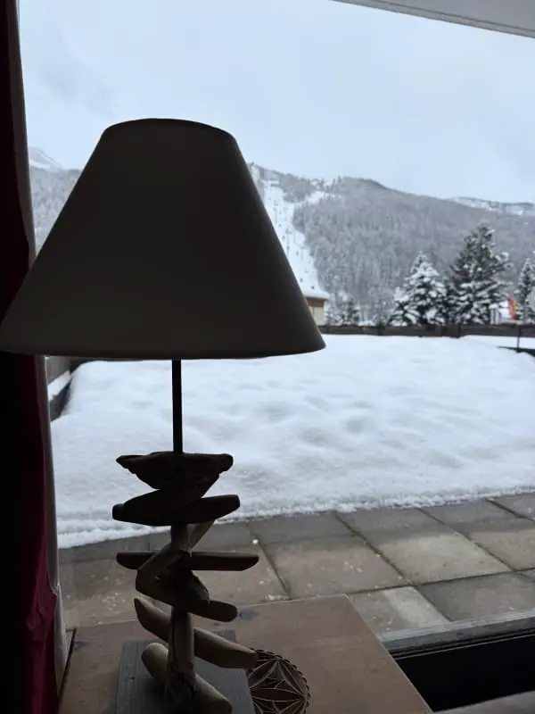 Appt Montagnard Avec Terrasse