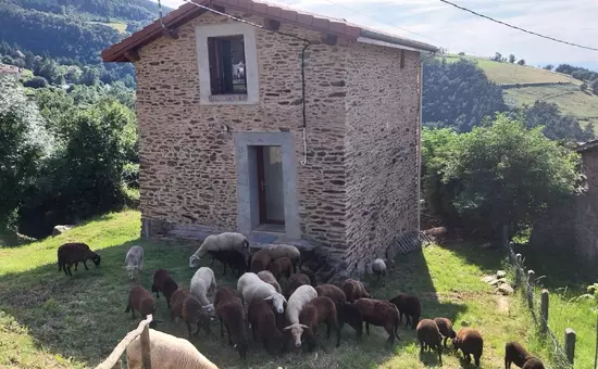 Maison de Vacances SAINT-CHAMOND 5