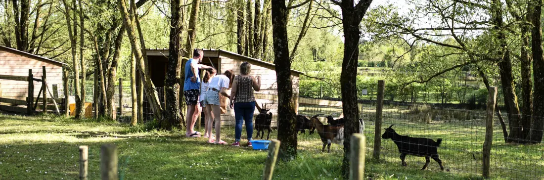 Camping Paradis Domaine de Bellevue 4 étoiles★★★★