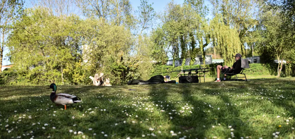 Camping Paradis Domaine de Bellevue 41 étoiles★