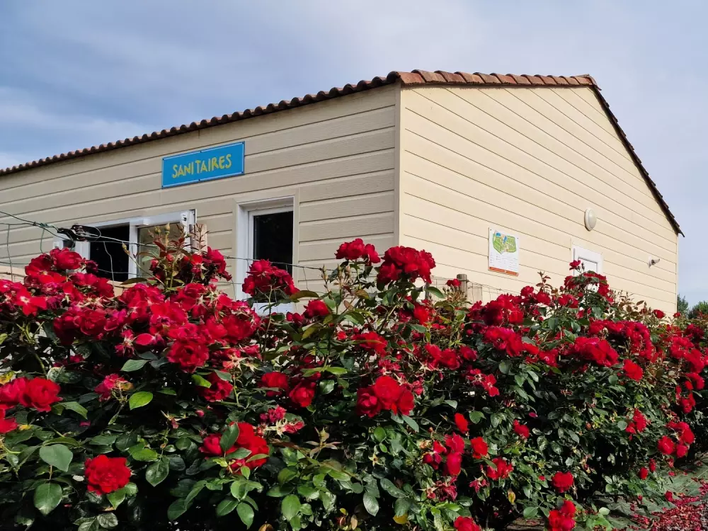 Camping Paradis Domaine de Bellevue4 étoiles★★★★