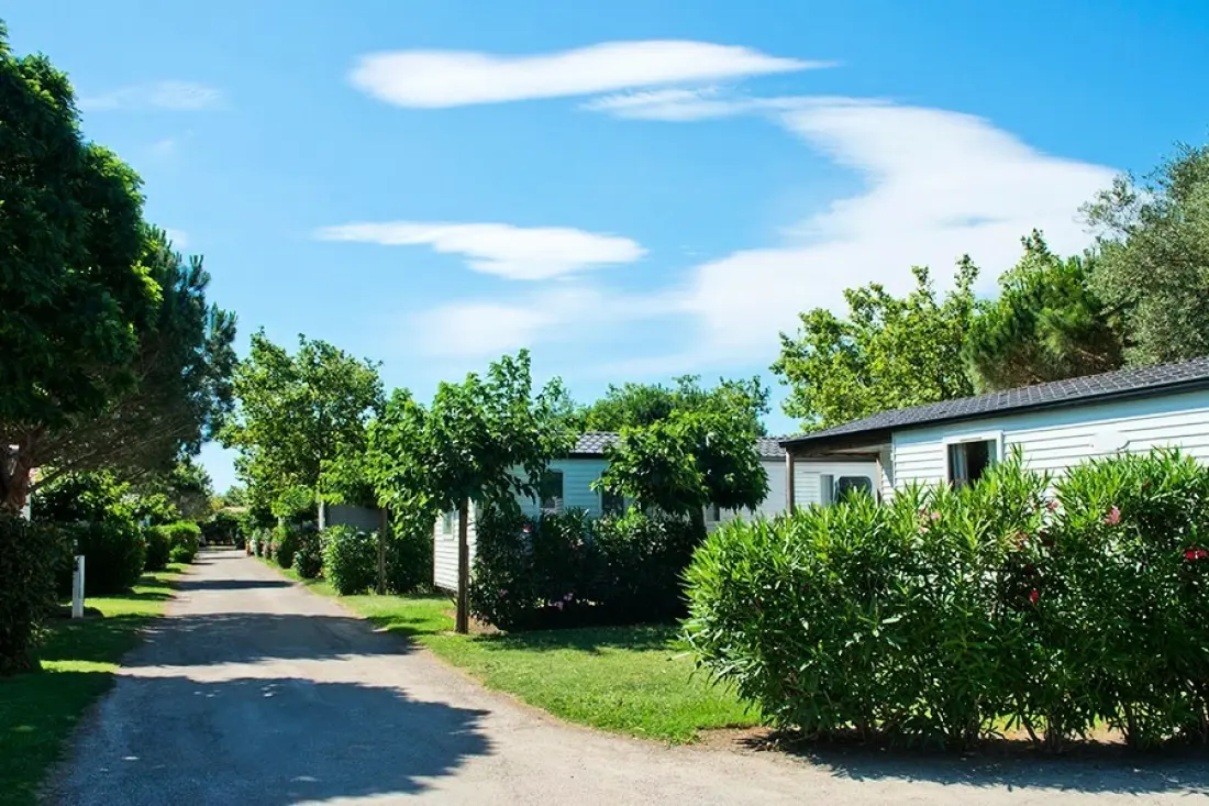 Camping Le Roussillon 4 étoiles★★★★