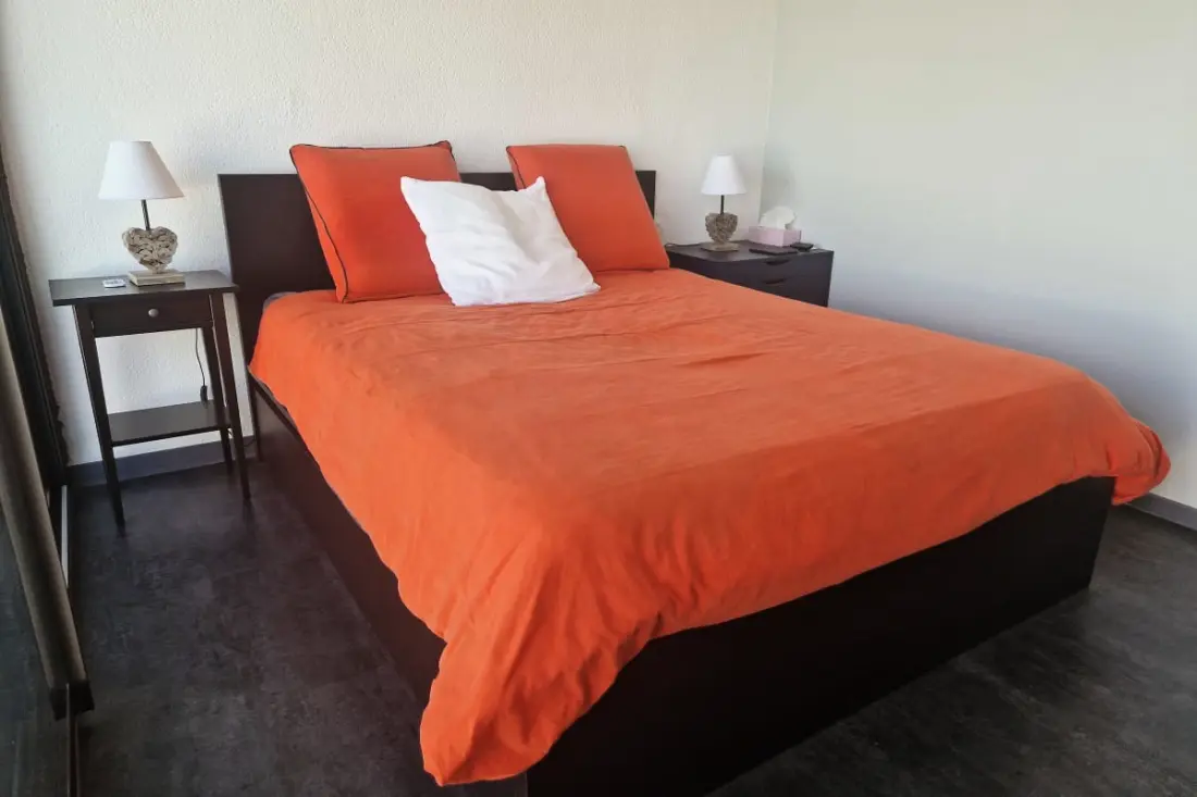 Appartement Avec Terrasse à Saint-cyprien