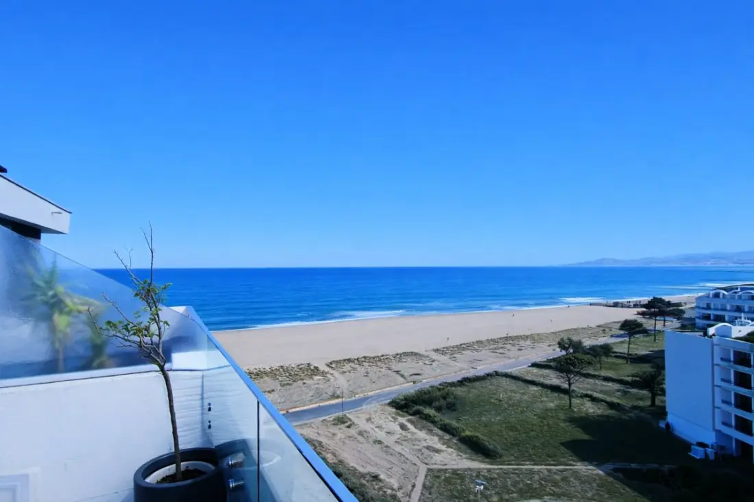 Appartement Avec Terrasse à Saint-cyprien